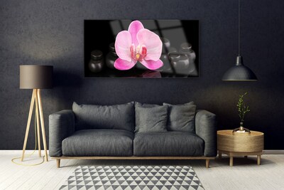 Glasbild aus Plexiglas® Blumen Steine Pflanzen