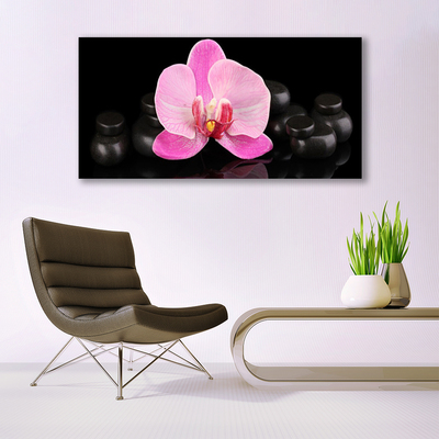 Glasbild aus Plexiglas® Blumen Steine Pflanzen