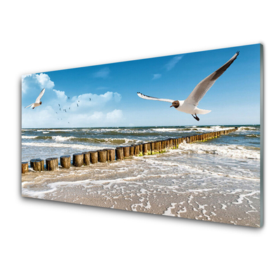 Glasbild aus Plexiglas® Möwen Meer Landschaft