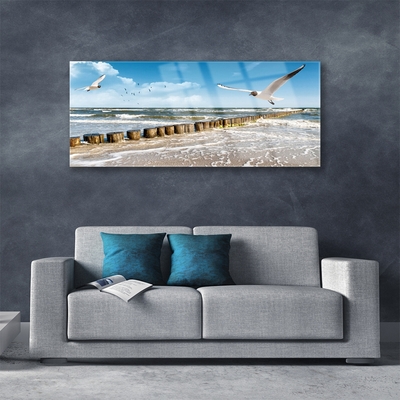 Glasbild aus Plexiglas® Möwen Meer Landschaft