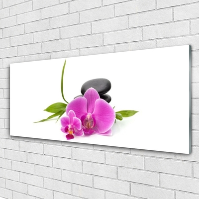 Glasbild aus Plexiglas® Blumen Steine Pflanzen