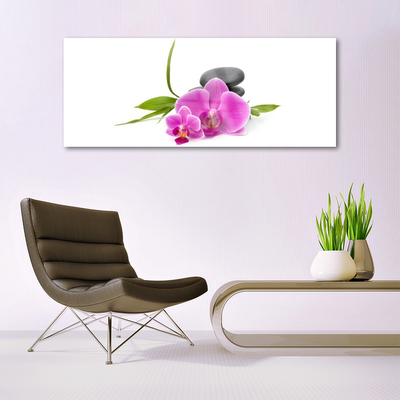 Glasbild aus Plexiglas® Blumen Steine Pflanzen