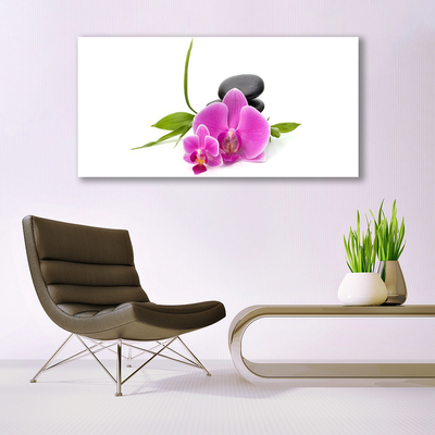 Glasbild aus Plexiglas® Blumen Steine Pflanzen