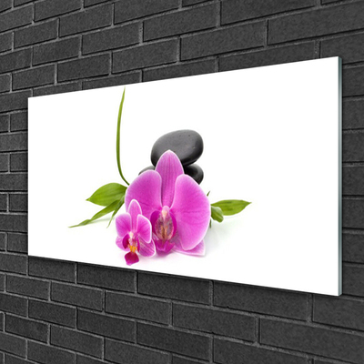 Glasbild aus Plexiglas® Blumen Steine Pflanzen