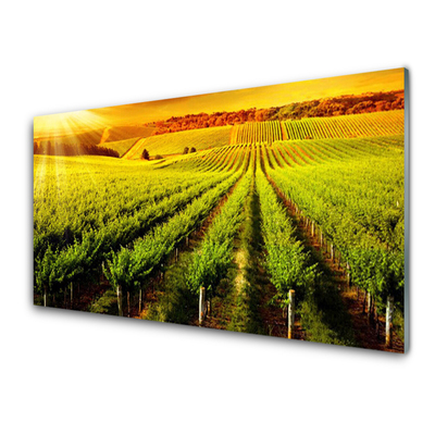 Glasbild aus Plexiglas® Acker Natur