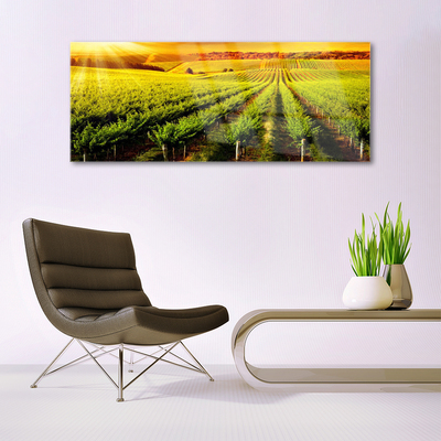 Glasbild aus Plexiglas® Acker Natur