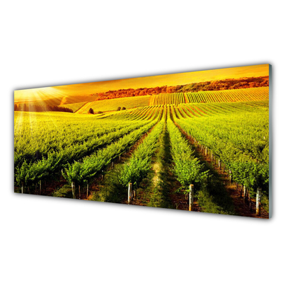 Glasbild aus Plexiglas® Acker Natur