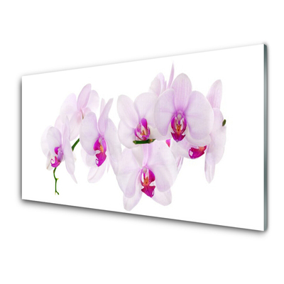 Glasbild aus Plexiglas® Blumen Pflanzen