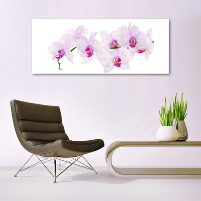 Glasbild aus Plexiglas® Blumen Pflanzen