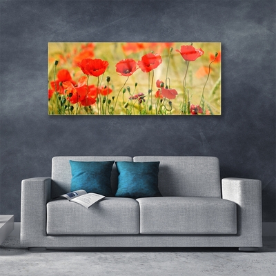 Glasbild aus Plexiglas® Mohnblumen Natur