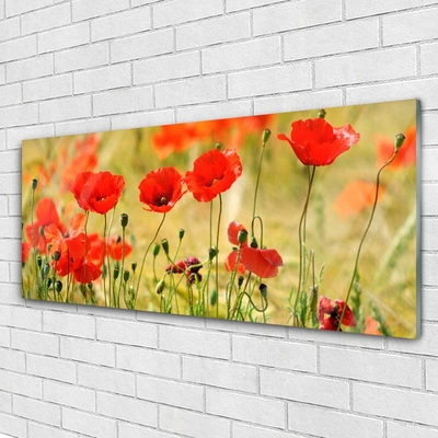 Glasbild aus Plexiglas® Mohnblumen Natur