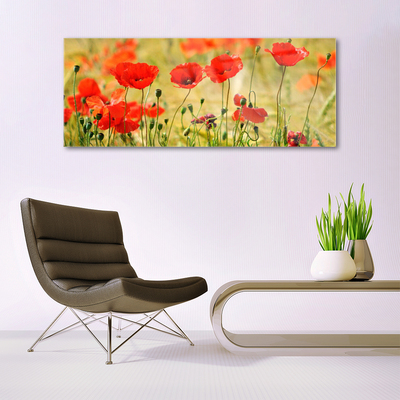 Glasbild aus Plexiglas® Mohnblumen Natur