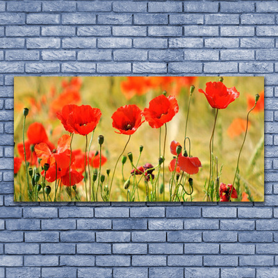 Glasbild aus Plexiglas® Mohnblumen Natur