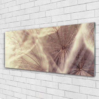 Glasbild aus Plexiglas® Pusteblume Pflanzen