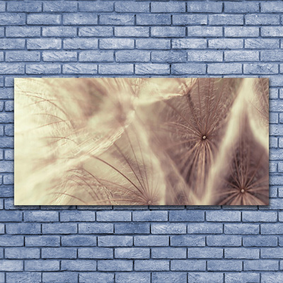 Glasbild aus Plexiglas® Pusteblume Pflanzen