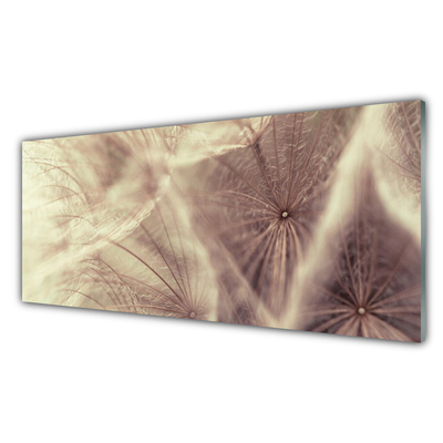 Glasbild aus Plexiglas® Pusteblume Pflanzen