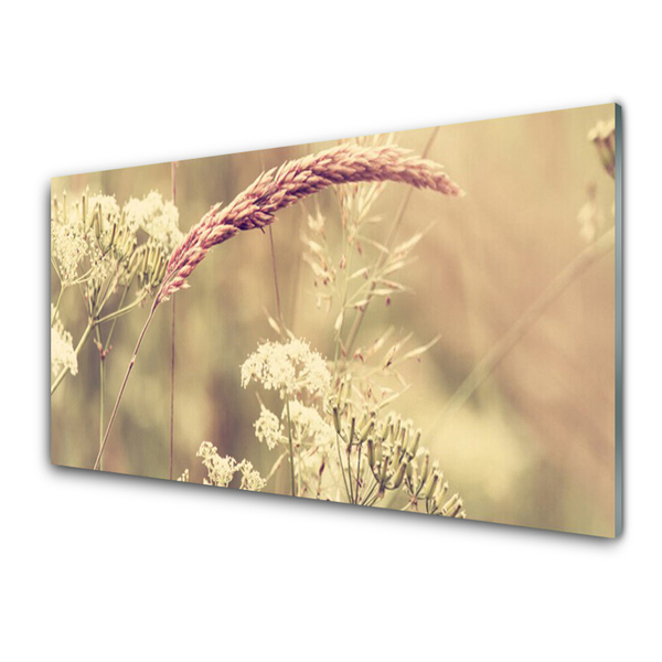 Glasbild aus Plexiglas® Wildpflanzen Pflanzen