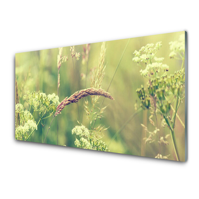 Glasbild aus Plexiglas® Wildpflanzen Pflanzen