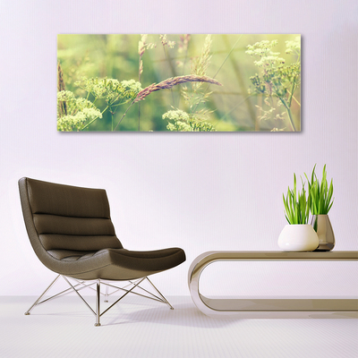 Glasbild aus Plexiglas® Wildpflanzen Pflanzen