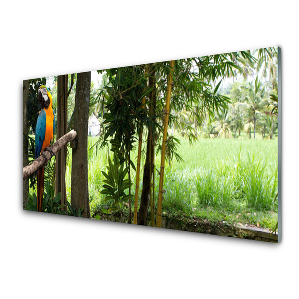 Glasbild aus Plexiglas® Papagei Bäume Natur