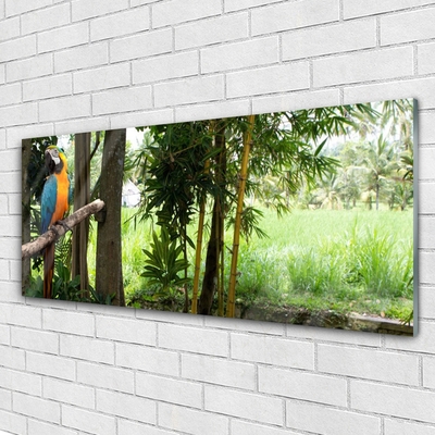 Glasbild aus Plexiglas® Papagei Bäume Natur