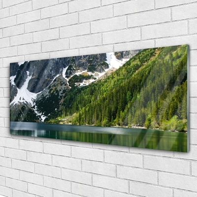 Glasbild aus Plexiglas® See Wald Gebirge Landschaft