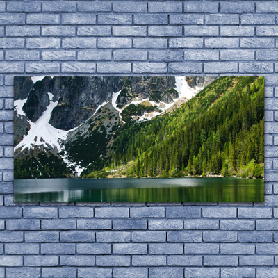 Glasbild aus Plexiglas® See Wald Gebirge Landschaft