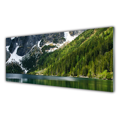 Glasbild aus Plexiglas® See Wald Gebirge Landschaft