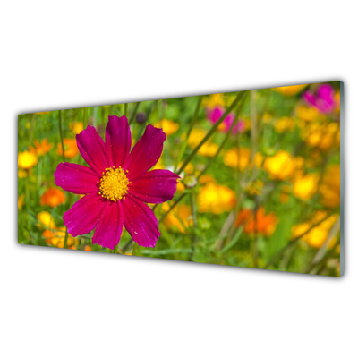 Glasbild aus Plexiglas® Blume Pflanzen