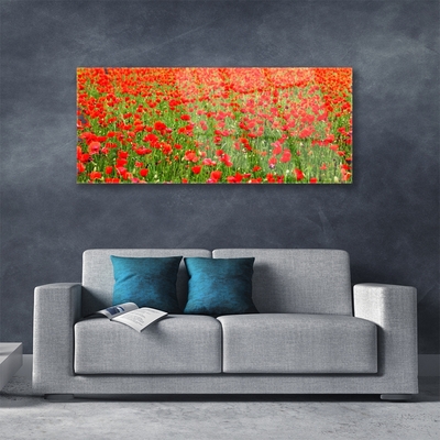 Glasbild aus Plexiglas® Mohnblumen Natur