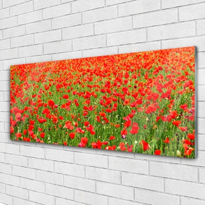 Glasbild aus Plexiglas® Mohnblumen Natur