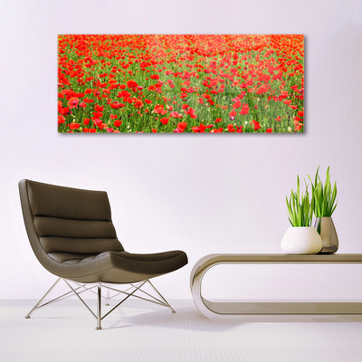 Glasbild aus Plexiglas® Mohnblumen Natur