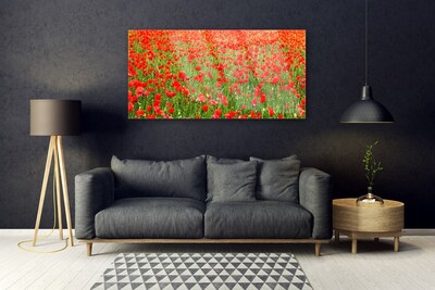 Glasbild aus Plexiglas® Mohnblumen Natur