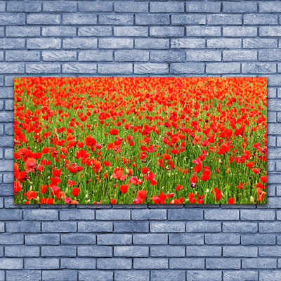 Glasbild aus Plexiglas® Mohnblumen Natur