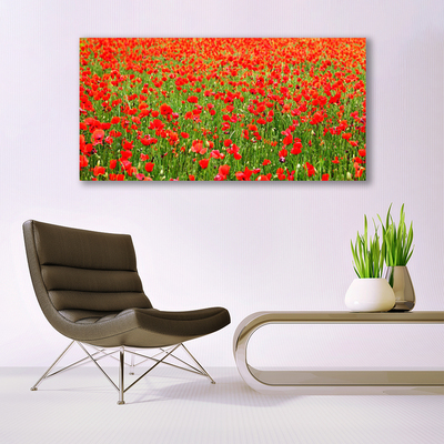 Glasbild aus Plexiglas® Mohnblumen Natur