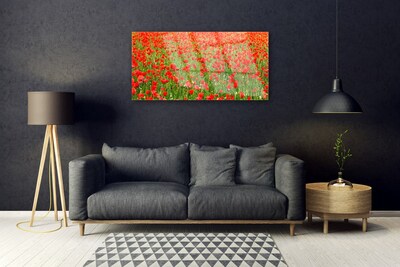 Glasbild aus Plexiglas® Mohnblumen Natur