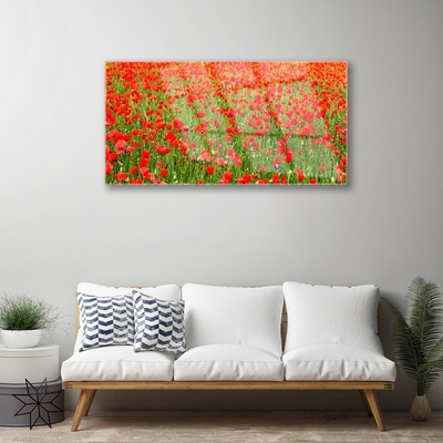 Glasbild aus Plexiglas® Mohnblumen Natur