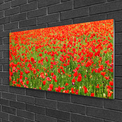 Glasbild aus Plexiglas® Mohnblumen Natur