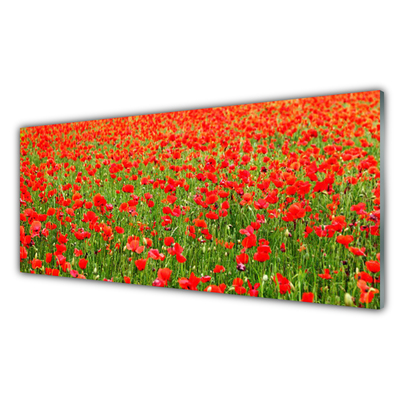 Glasbild aus Plexiglas® Mohnblumen Natur