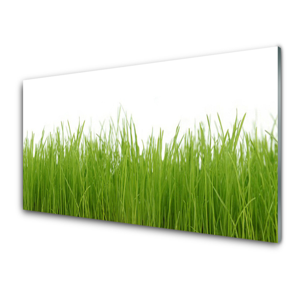 Glasbild aus Plexiglas® Gras Natur