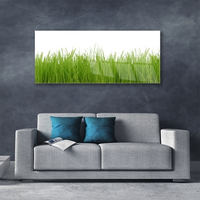 Glasbild aus Plexiglas® Gras Natur