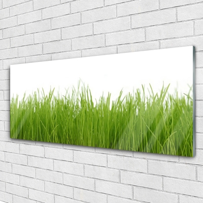 Glasbild aus Plexiglas® Gras Natur