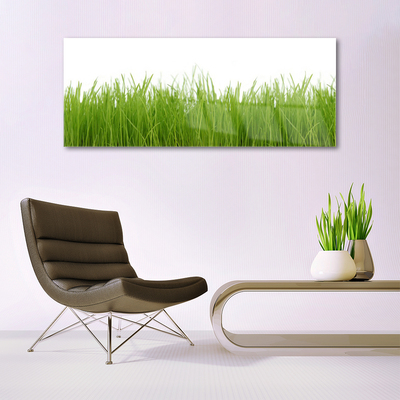 Glasbild aus Plexiglas® Gras Natur