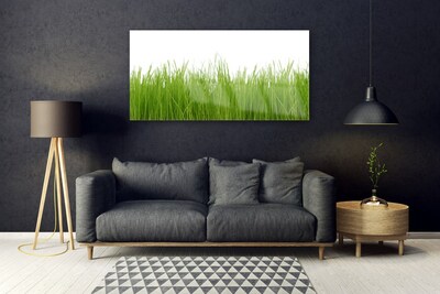 Glasbild aus Plexiglas® Gras Natur