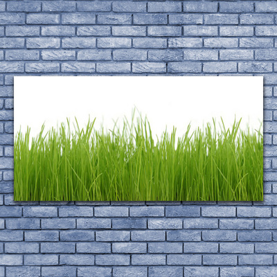 Glasbild aus Plexiglas® Gras Natur