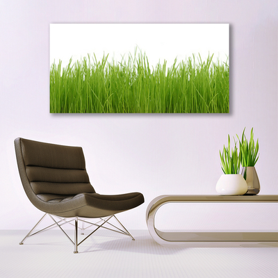 Glasbild aus Plexiglas® Gras Natur