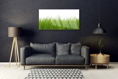 Glasbild aus Plexiglas® Gras Natur