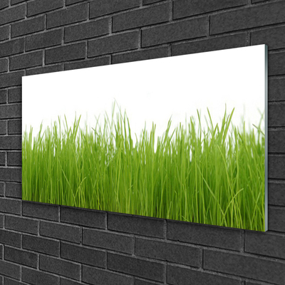Glasbilder 100x50 Wandbild Druck auf Glas Gras Tasse Natur 