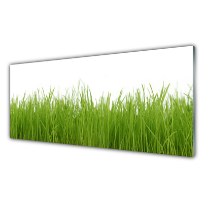 Glasbild aus Plexiglas® Gras Natur