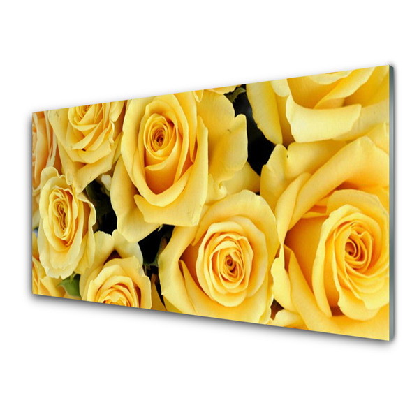 Glasbild aus Plexiglas® Rosen Pflanzen